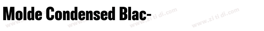 Molde Condensed Blac字体转换